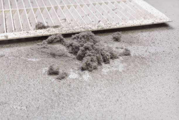 Best Ventilation Cleaning Services  in Oak View, CA