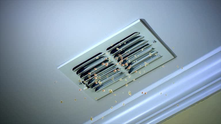 Best Air Duct Cleaning Near Me  in Oak View, CA