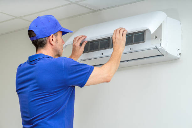 Air Duct Mold Removal in Oak View, CA