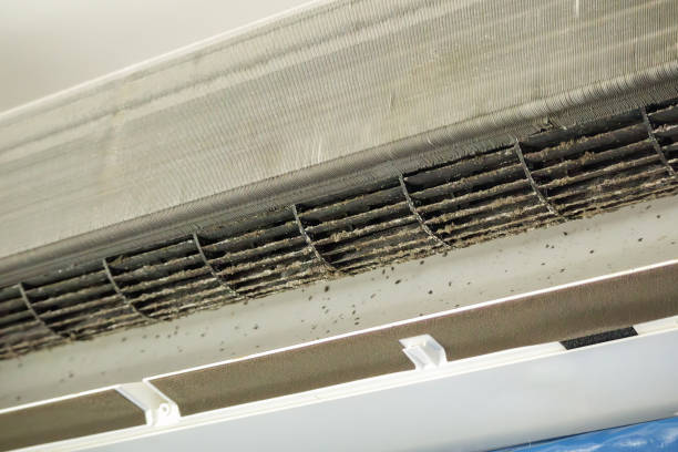 Best Best Air Duct Cleaning Company  in Oak View, CA